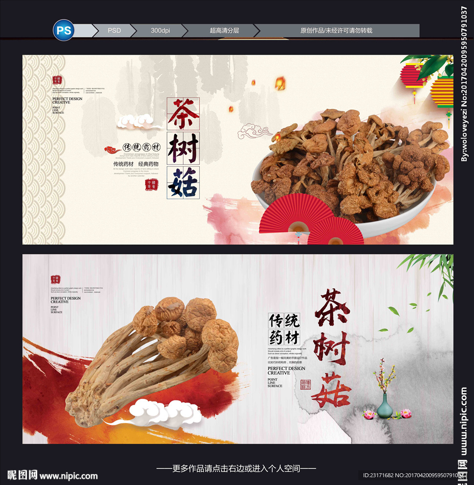 茶树菇