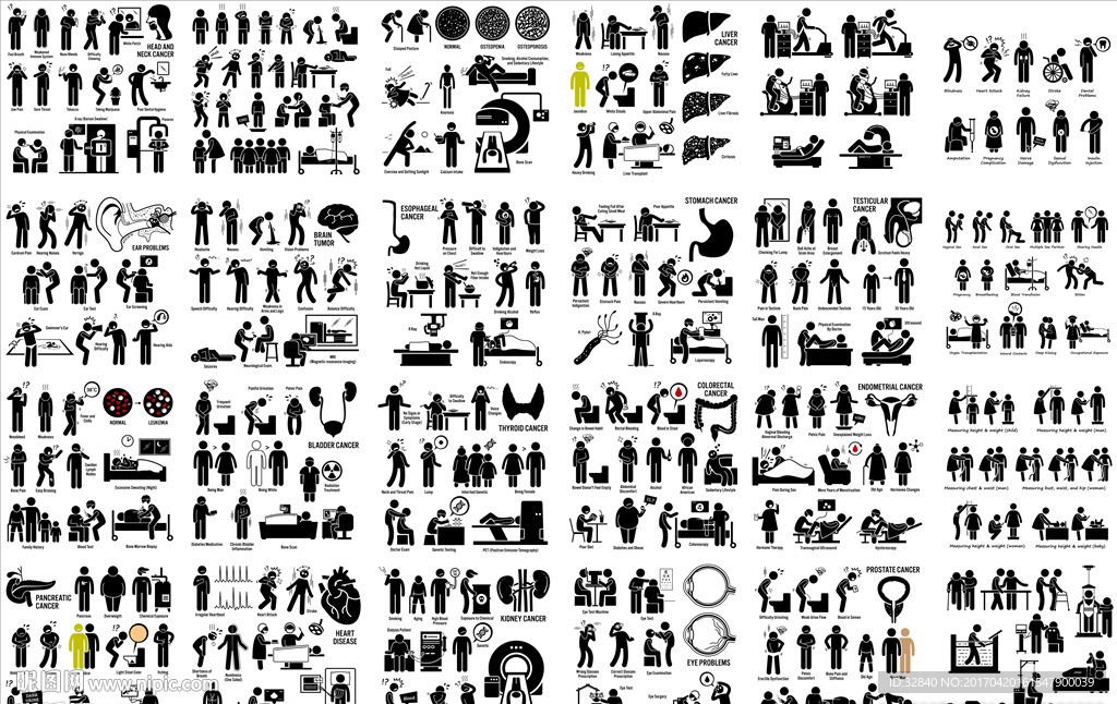 动作分解图 示意图 动态 解释