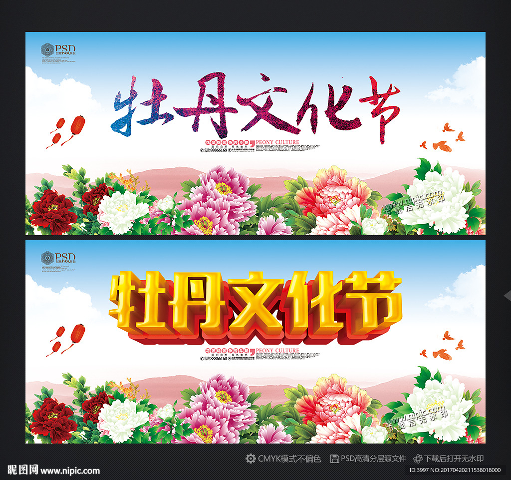 牡丹