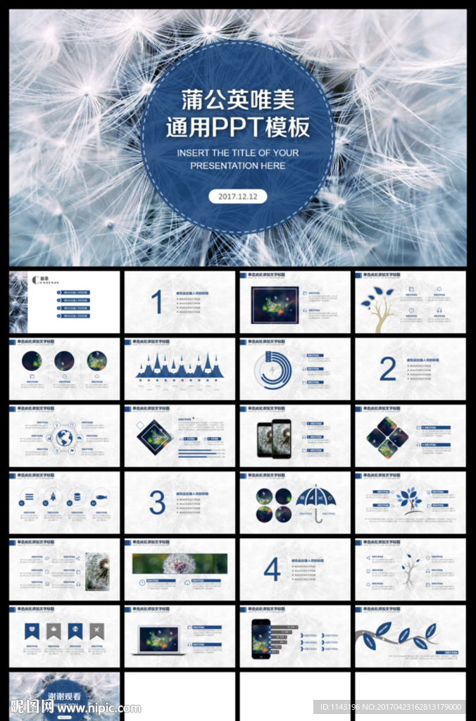 蓝色蒲公英教师教育课件通用PP