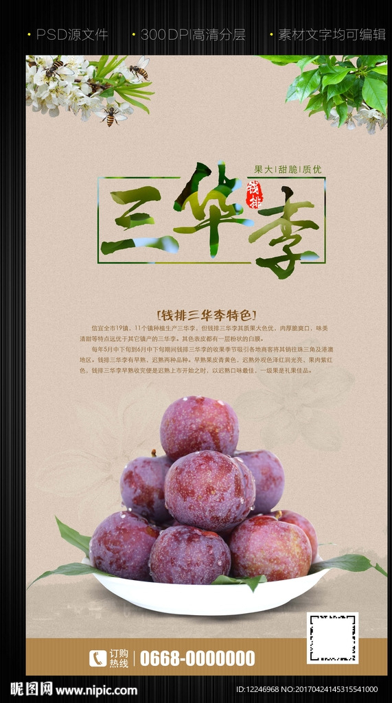 钱排三华李