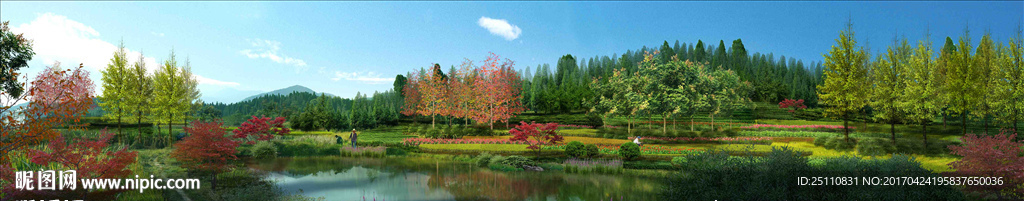 水生植物水景景观自然生态河流图