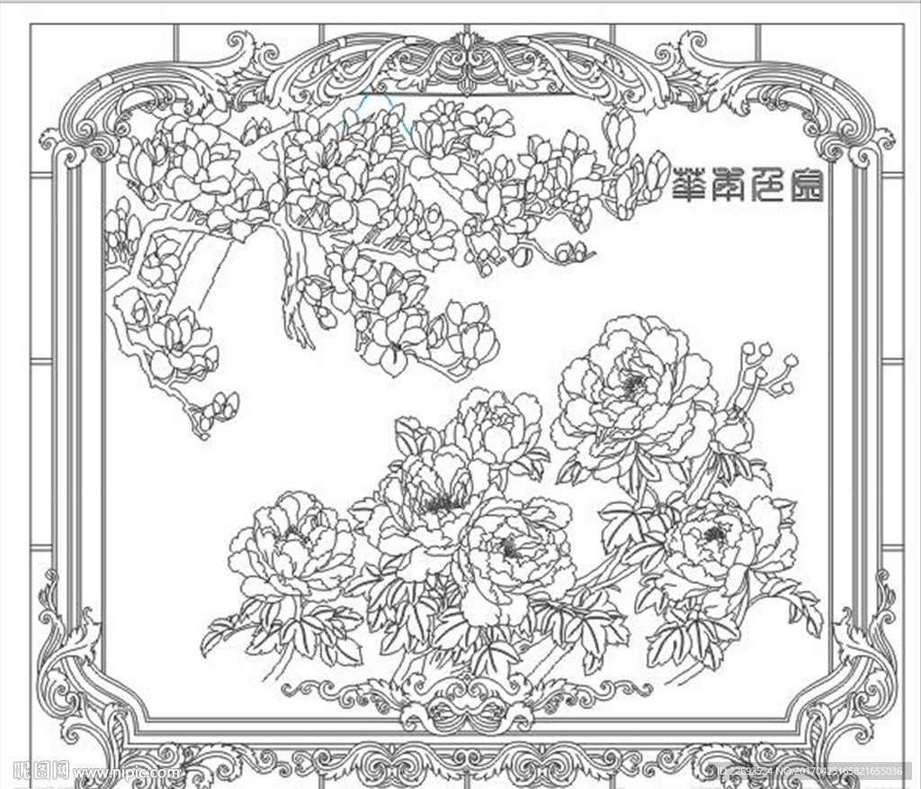 牡丹