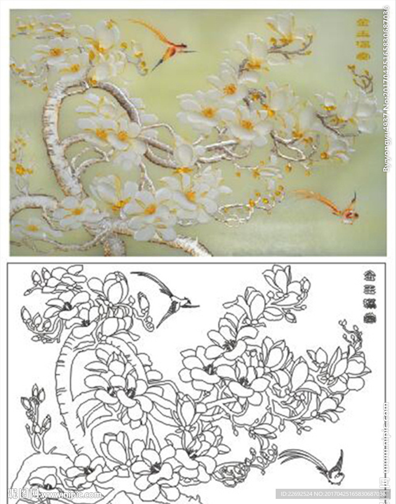 玉兰花