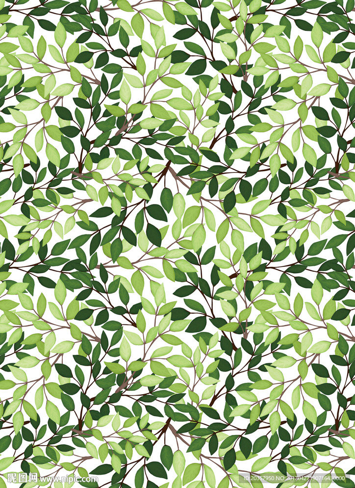 植物叶子 绿色植物图案 叶子图
