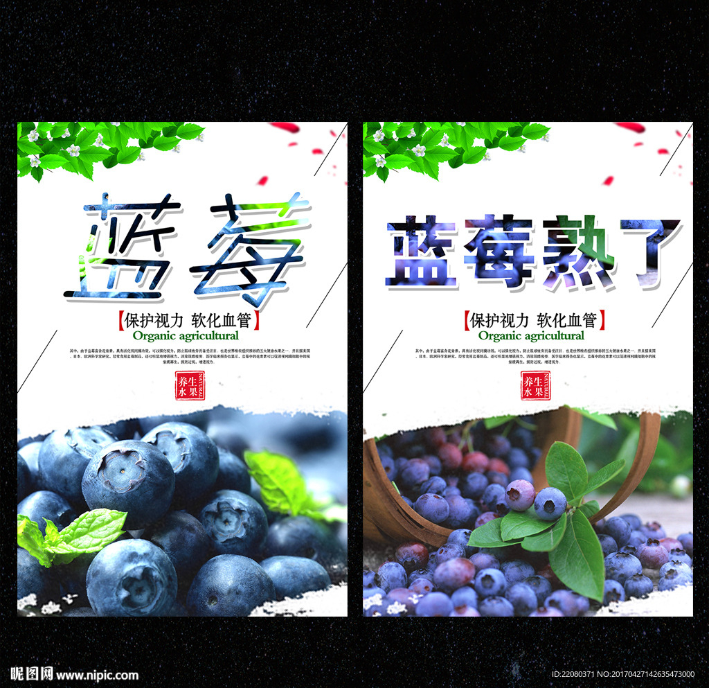 蓝莓