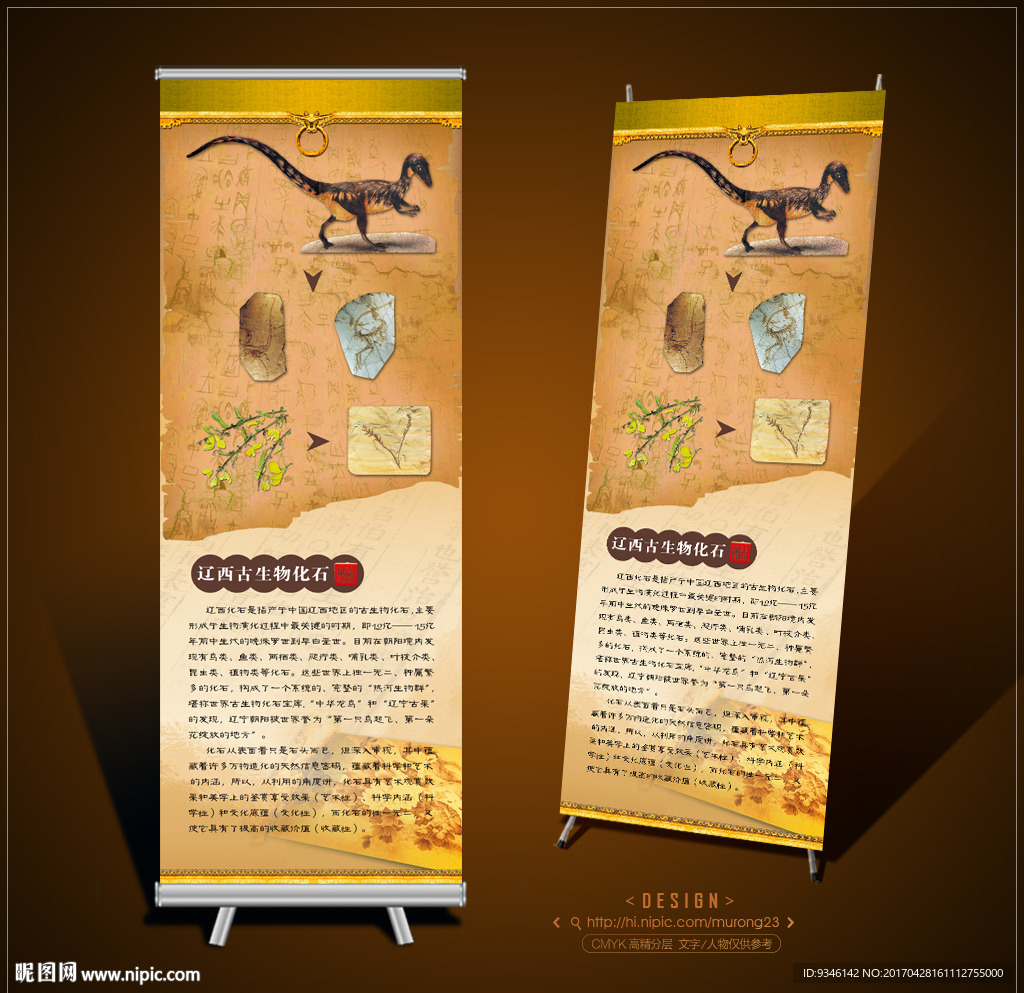 古玩 化石展架