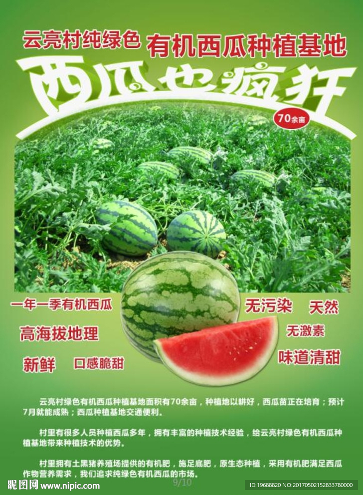 西瓜海报