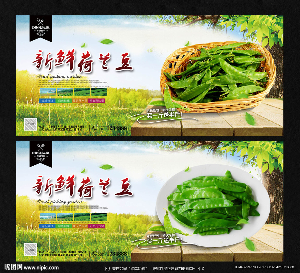 荷兰豆