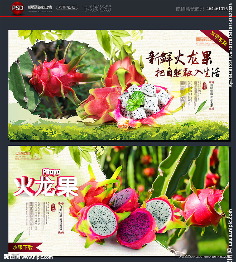 火龙果