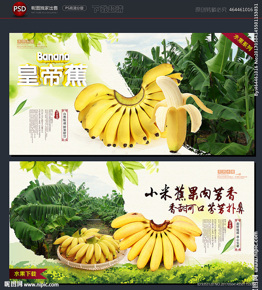 米蕉