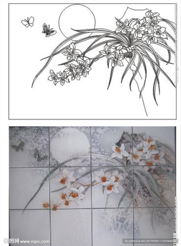 兰花