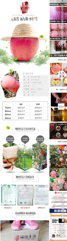 个性大苹果详情PSD