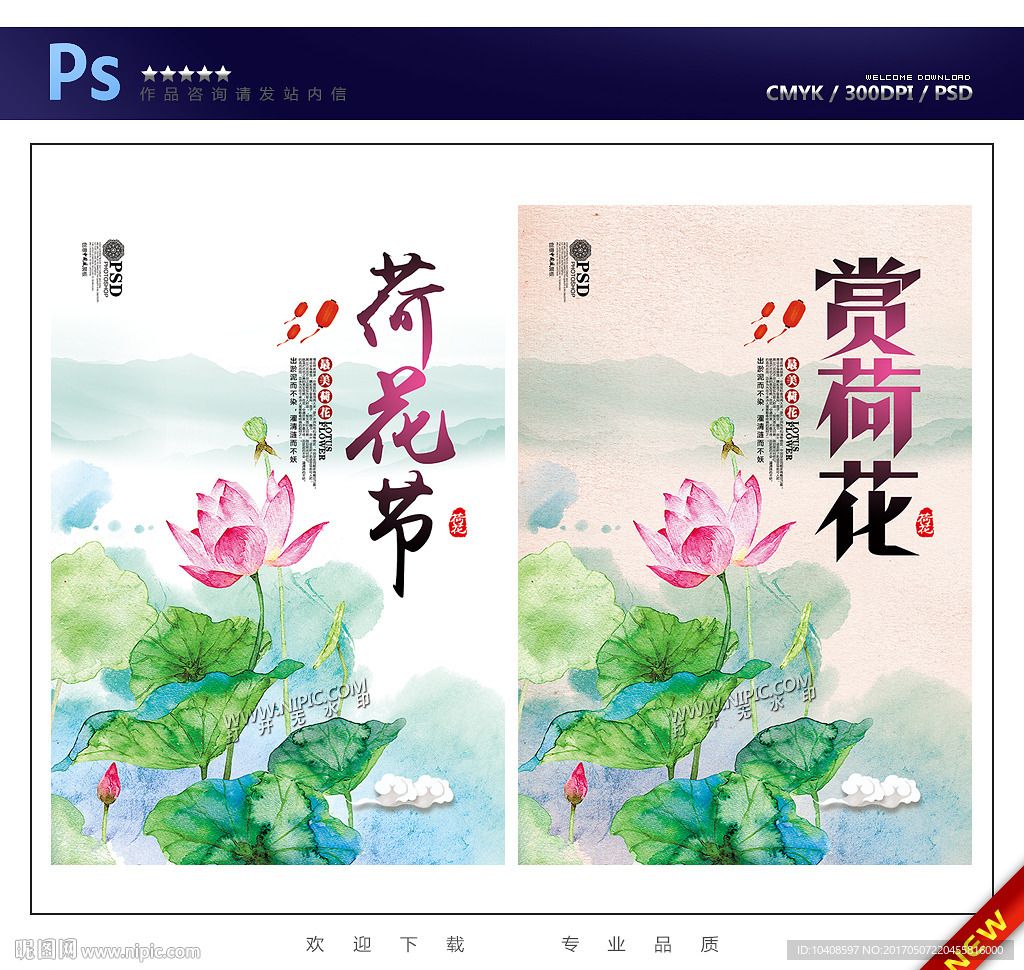 荷花