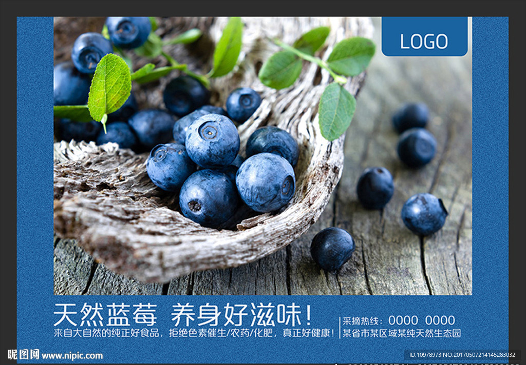 蓝莓水果