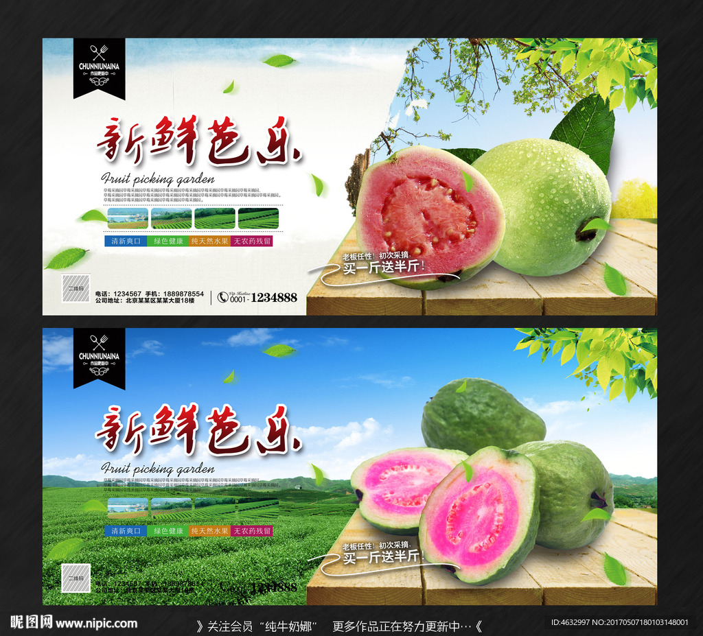 芭乐