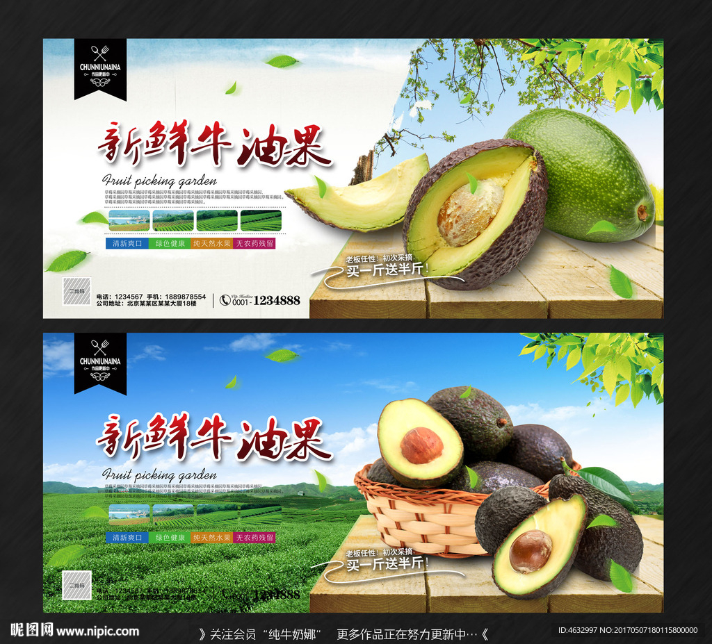 牛油果