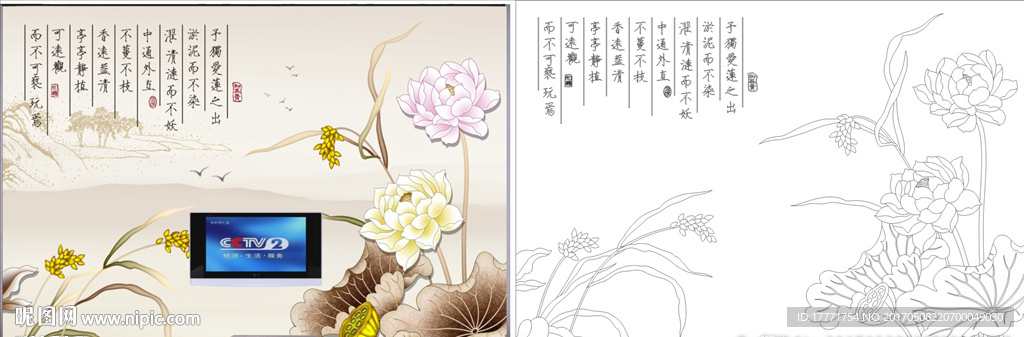 荷花