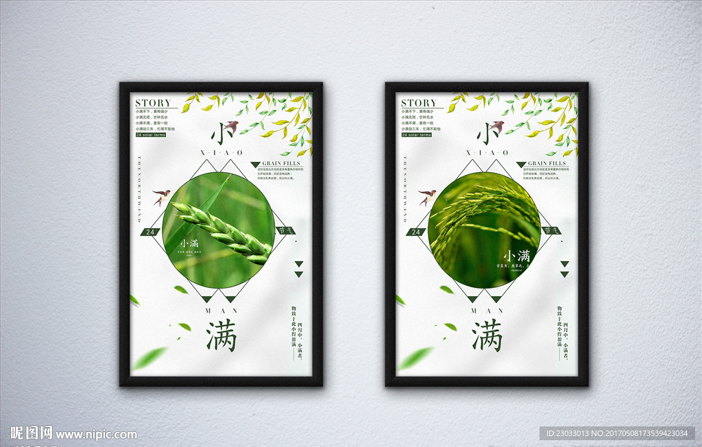 小满节气海报