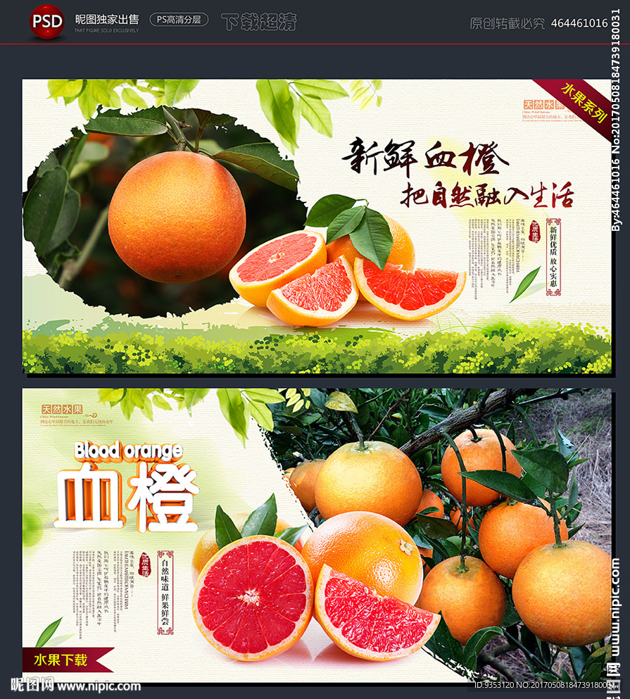 血橙