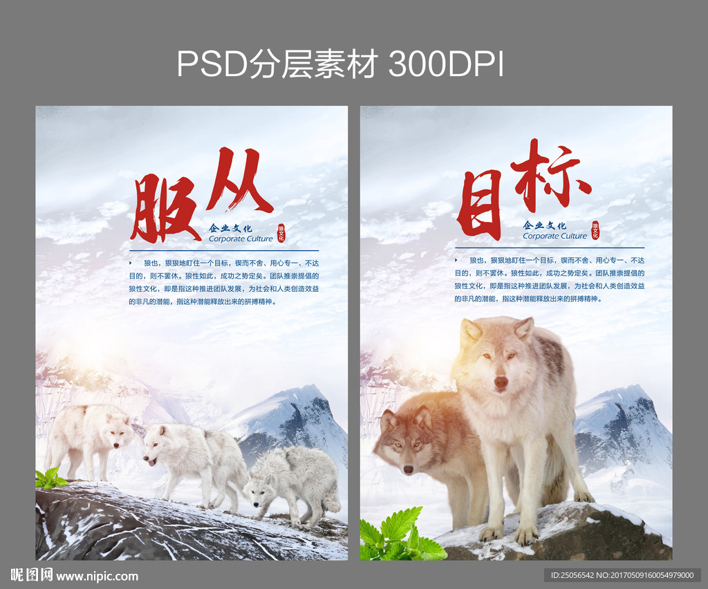 企业文化 狼系列