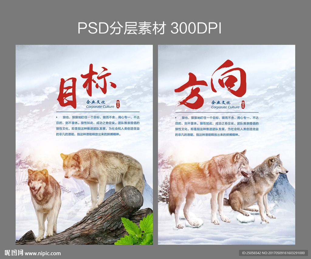企业文化 狼系列