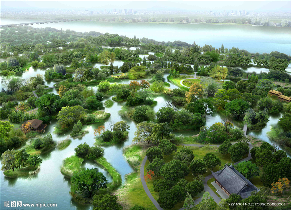鸟瞰水生植物河道水景效果图