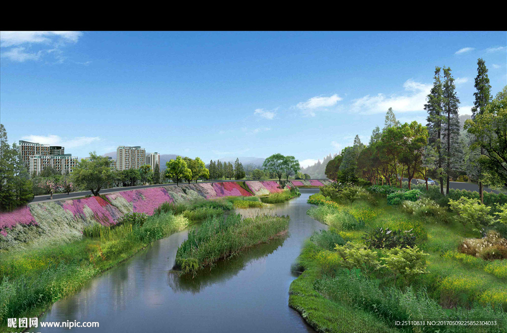 护坡设计河道水景景观水生植物图