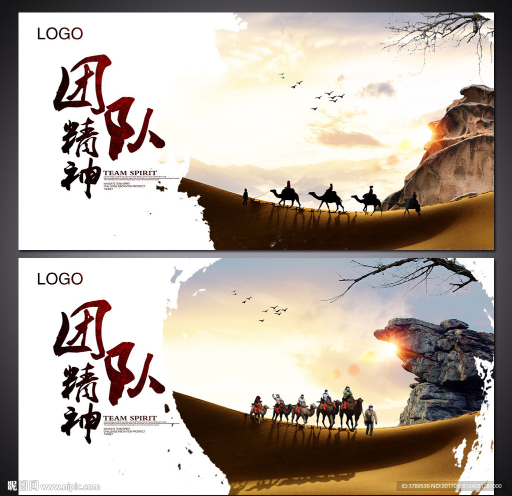 企业团队