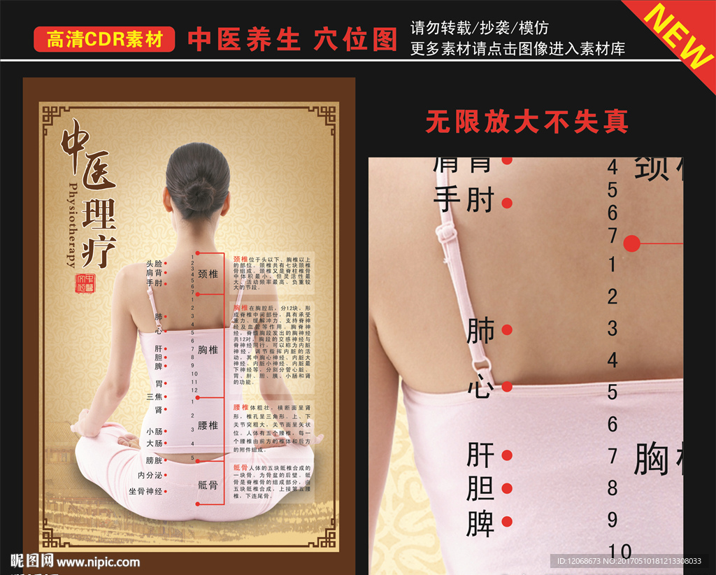 中医穴位图