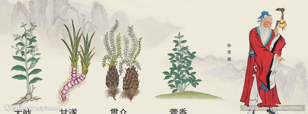 中药文化