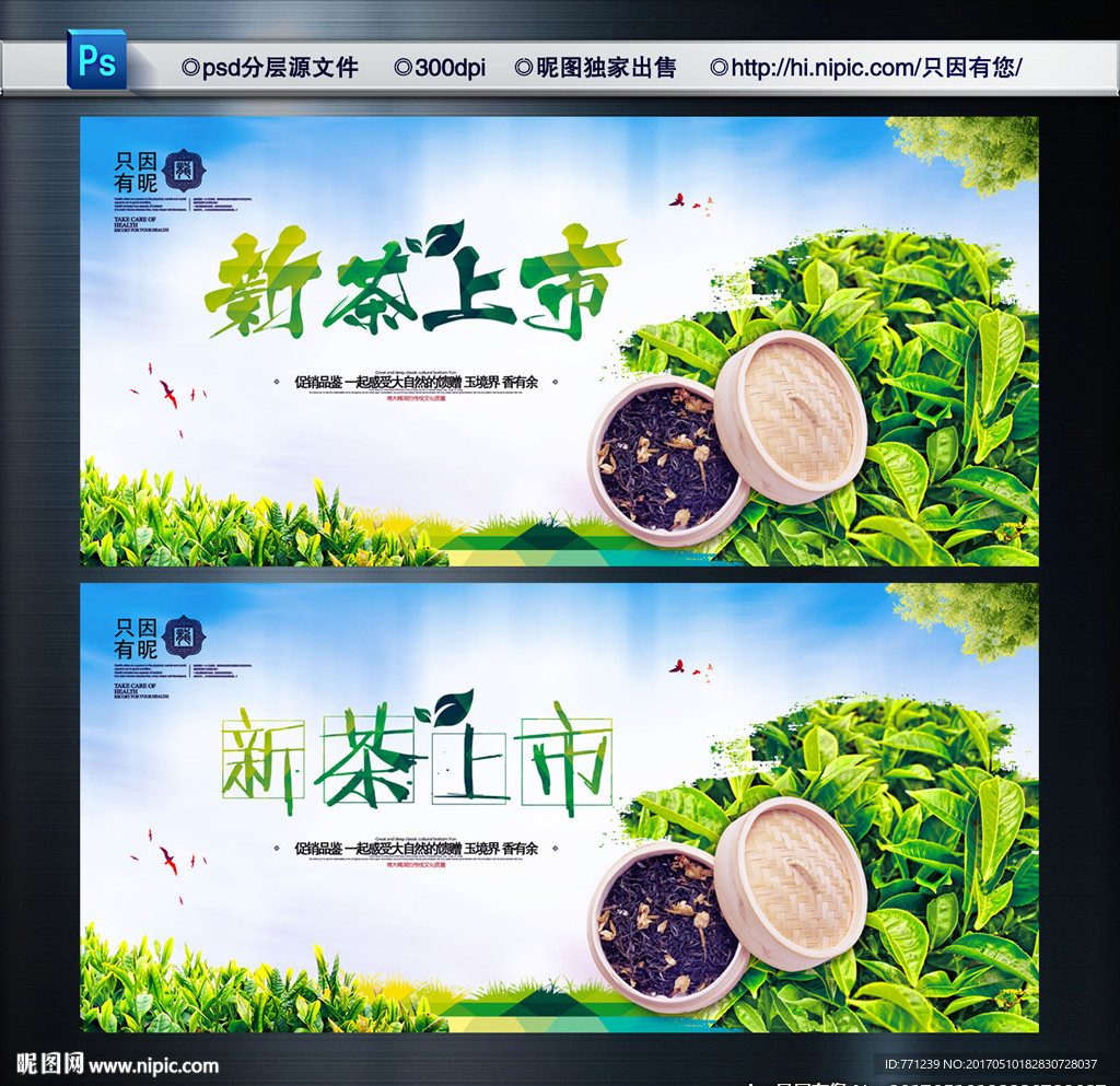 新茶上市