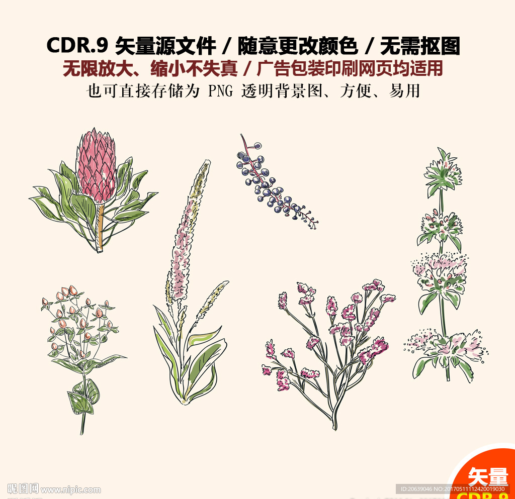 手绘植物花草矢量图