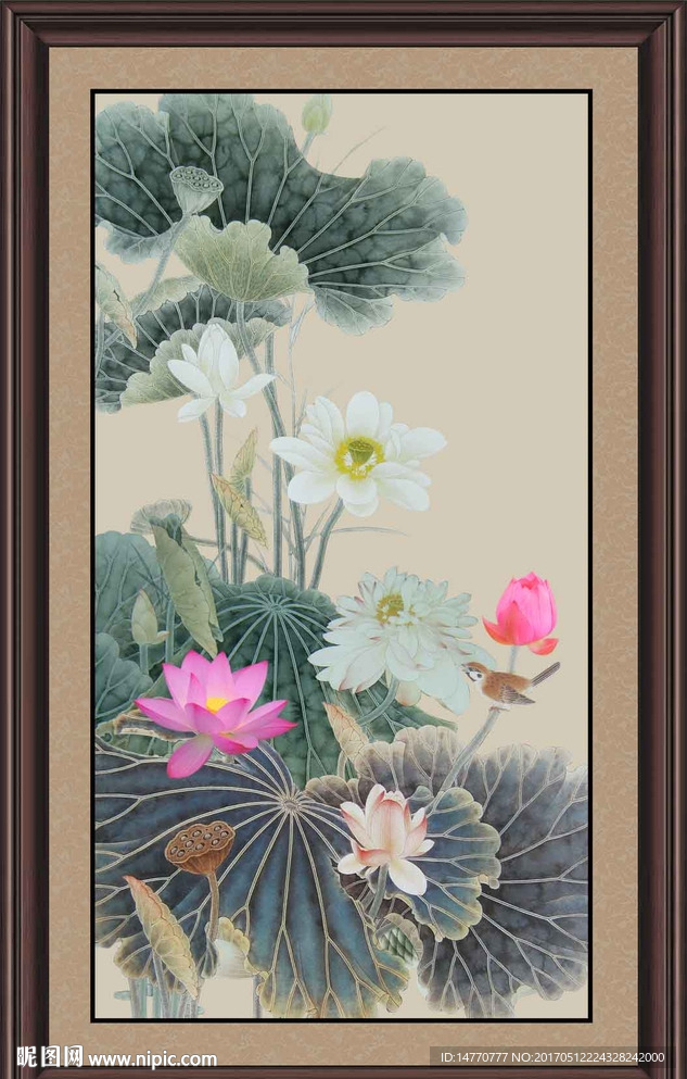 荷花图
