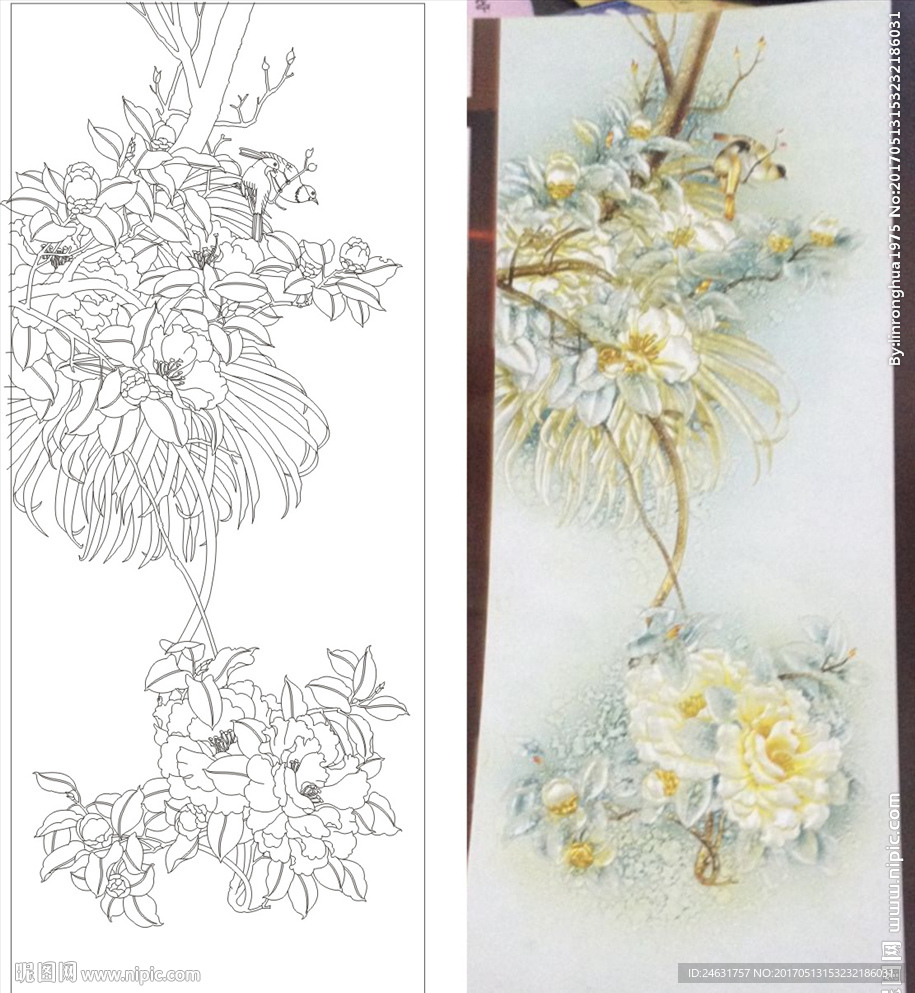 山茶花 鸟