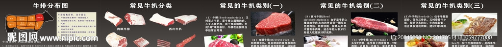 牛扒分类介绍图