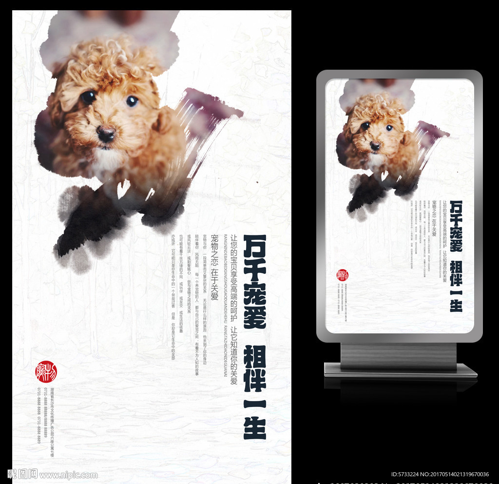 宠物店宠物文化宣传海报设计