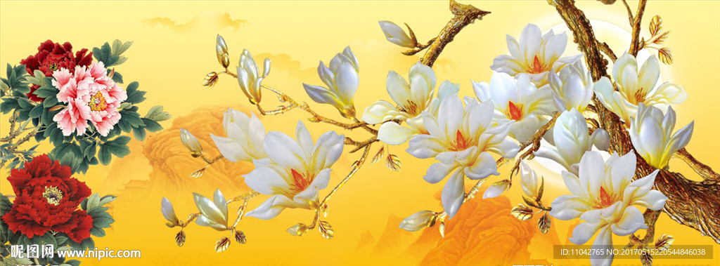 玉兰花