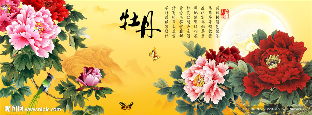 牡丹花