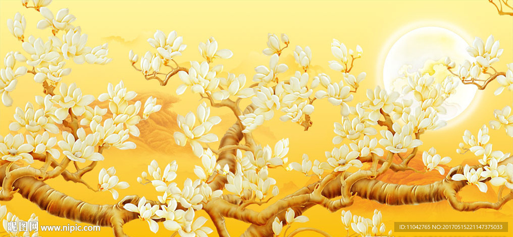 玉兰花