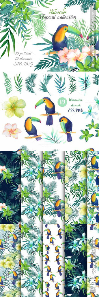 手绘热带植物鹦鹉