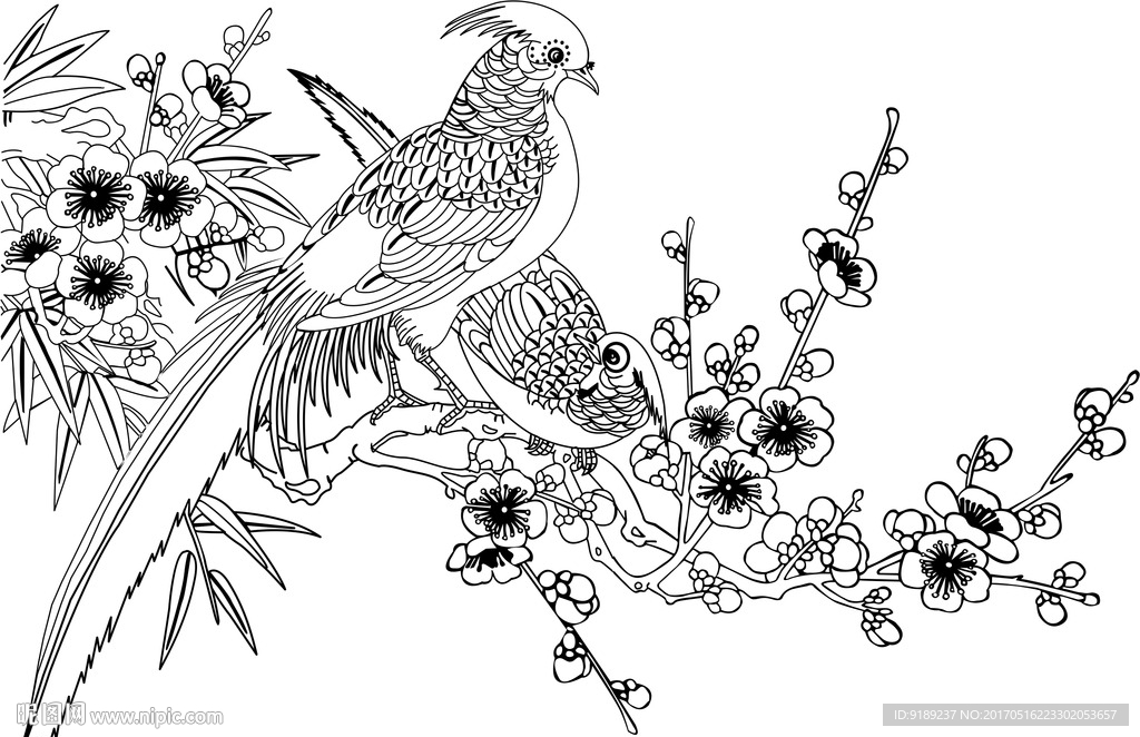 花鸟图 喜鹊登梅图片