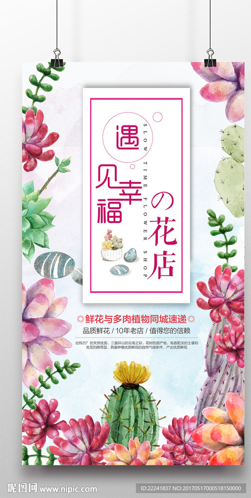 时尚多肉植物海报