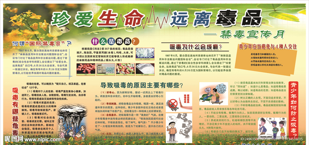 学校禁毒宣传月展板设计图片