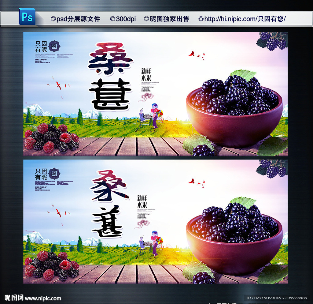 桑葚