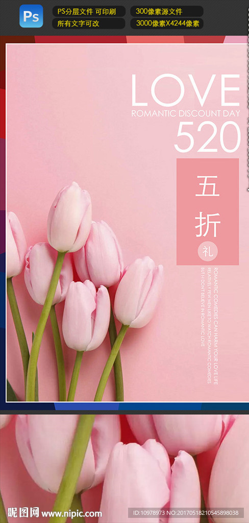 郁金香 爱情