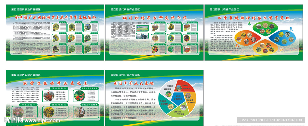 珍稀苗木花卉繁育基地简介