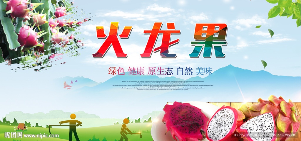 火龙果