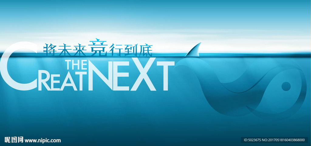 海洋 鲸鱼