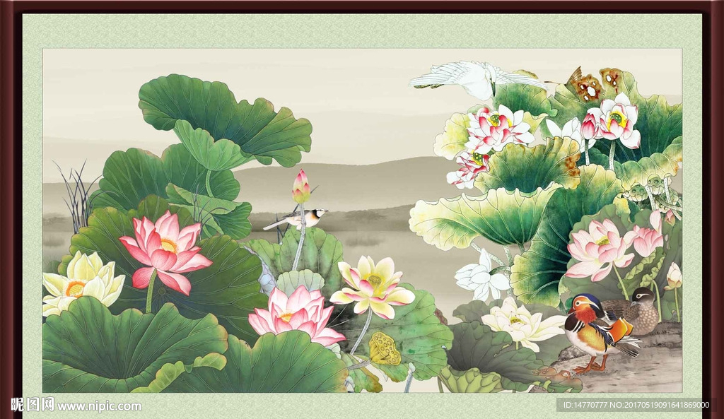 荷花图